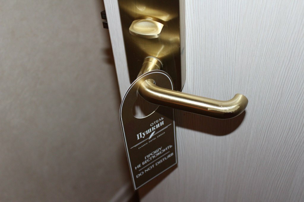 Гостиница Пушкин Москва-113