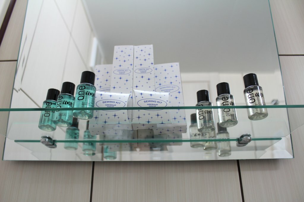 Гостиница Пушкин Москва-110